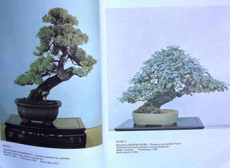 Bonsai Techniques I - John Yoshio Naka