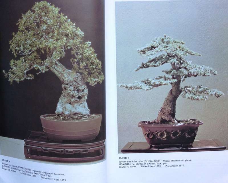 Bonsai Techniques I - John Yoshio Naka