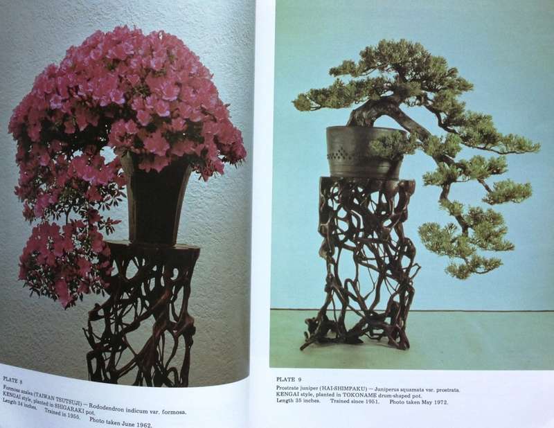 Bonsai Techniques I - John Yoshio Naka