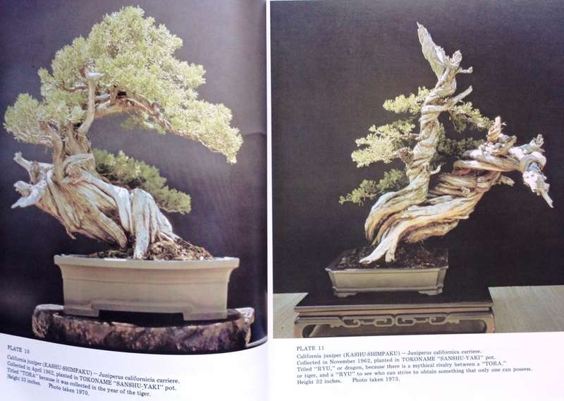 Bonsai Techniques I - John Yoshio Naka
