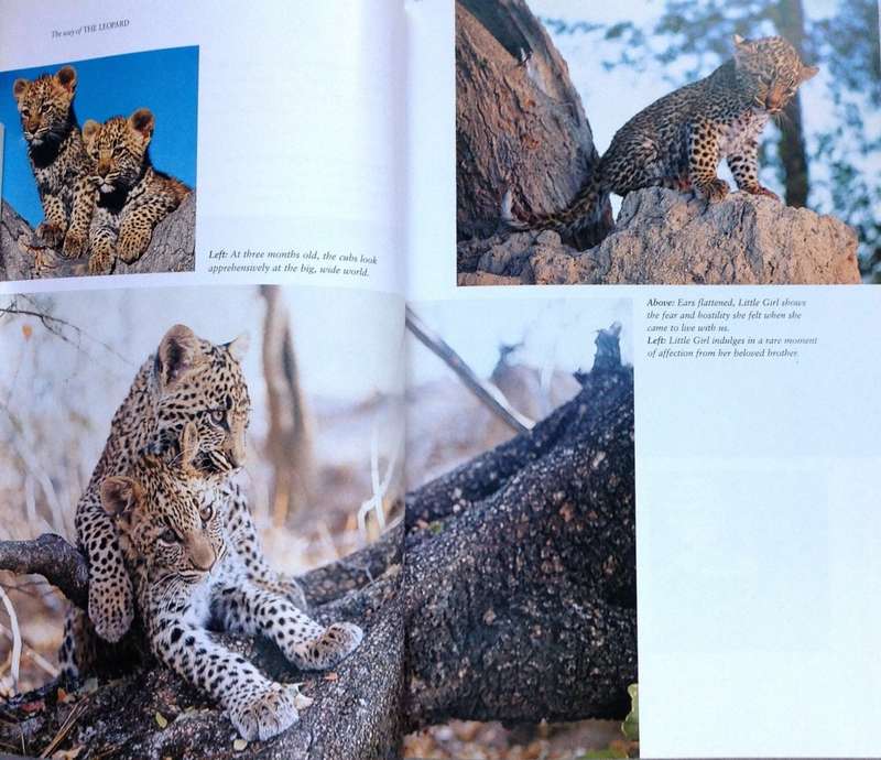 The way of the Leopard - Gillian van Houten - Book signed by Author
