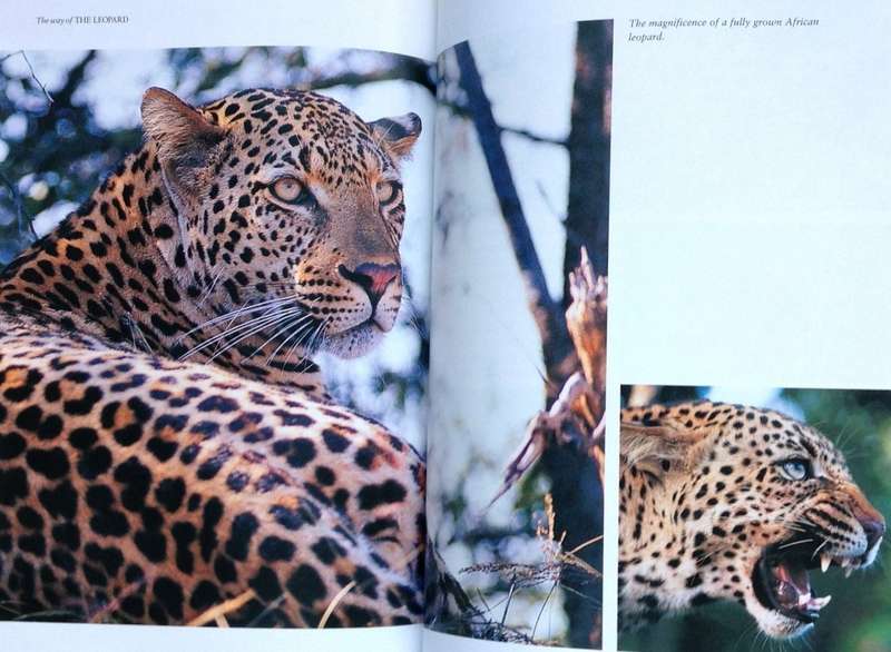 The way of the Leopard - Gillian van Houten - Book signed by Author