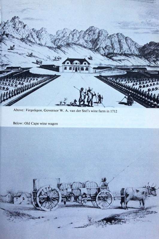 300 Years of Cape Wine - C Louis Leipoldt - Hardcover