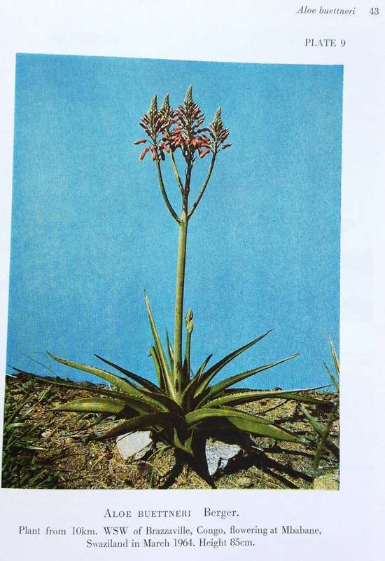 The Aloes of Tropical Africa and Madagascar - Dr G W Reynolds - Hardcover - Signed by Author