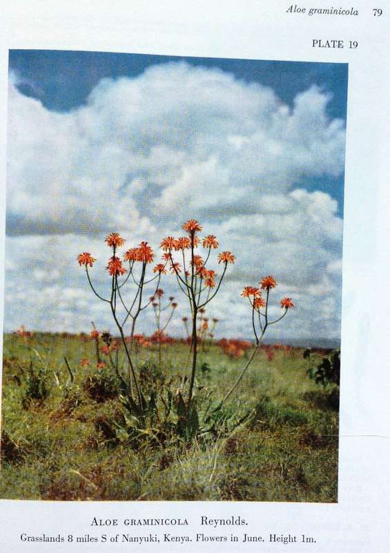 The Aloes of Tropical Africa and Madagascar - Dr G W Reynolds - Hardcover - Signed by Author