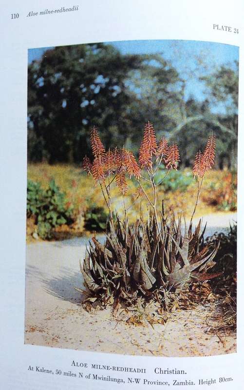 The Aloes of Tropical Africa and Madagascar - Dr G W Reynolds - Hardcover - Signed by Author