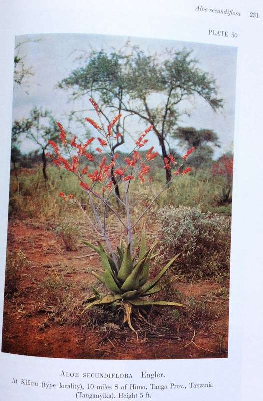 The Aloes of Tropical Africa and Madagascar - Dr G W Reynolds - Hardcover - Signed by Author
