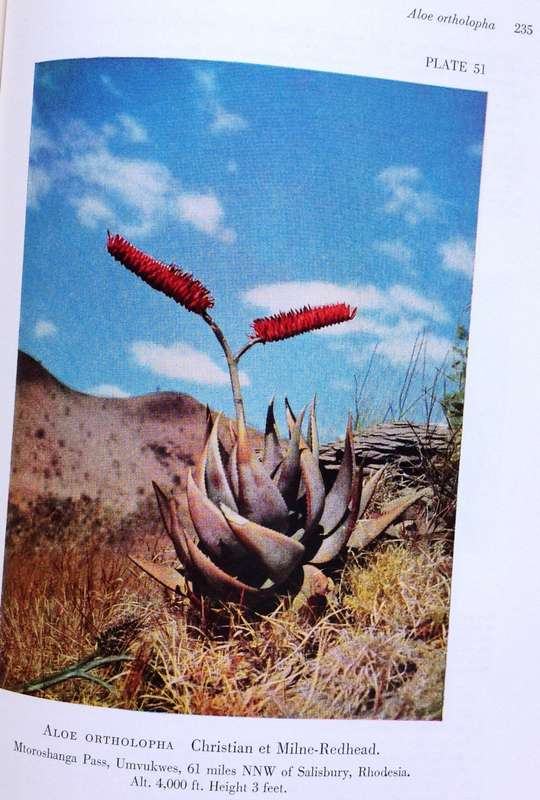 The Aloes of Tropical Africa and Madagascar - Dr G W Reynolds - Hardcover - Signed by Author