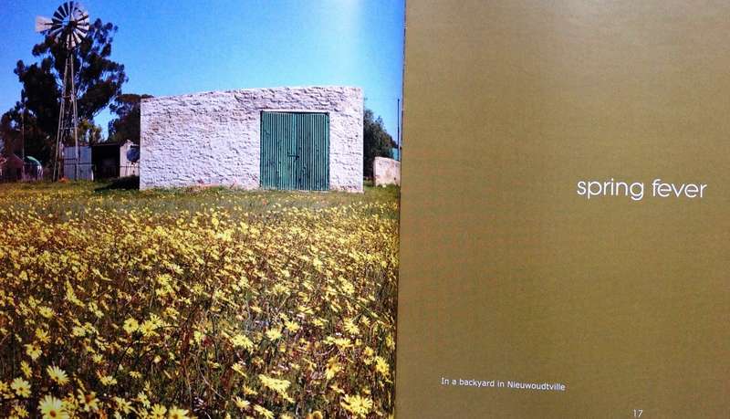 The Climax Collection-The secret life of windmills-Volume 1 and Volume 2-Max and Sue Hoppe-signed