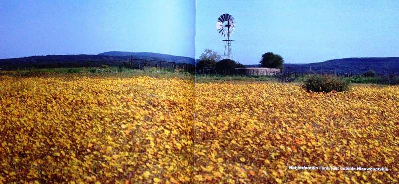 The Climax Collection-The secret life of windmills-Volume 1 and Volume 2-Max and Sue Hoppe-signed