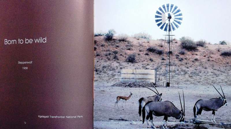 The Climax Collection-The secret life of windmills-Volume 1 and Volume 2-Max and Sue Hoppe-signed