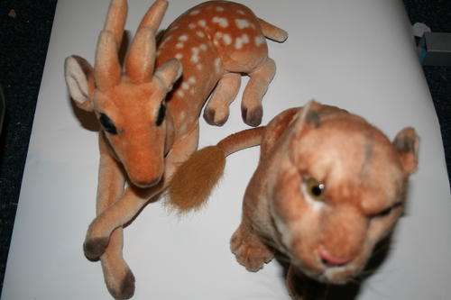 Lioness and Giraffe Stuffed Animals. Beautiful