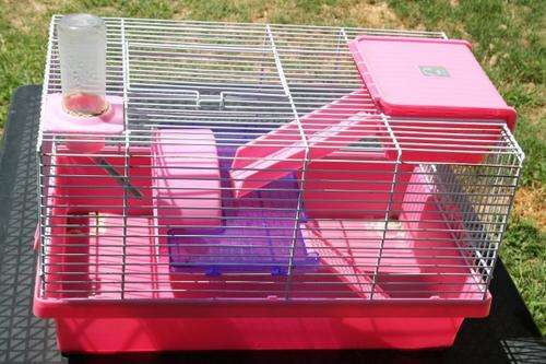 Awesome Hamster Cage - Pink