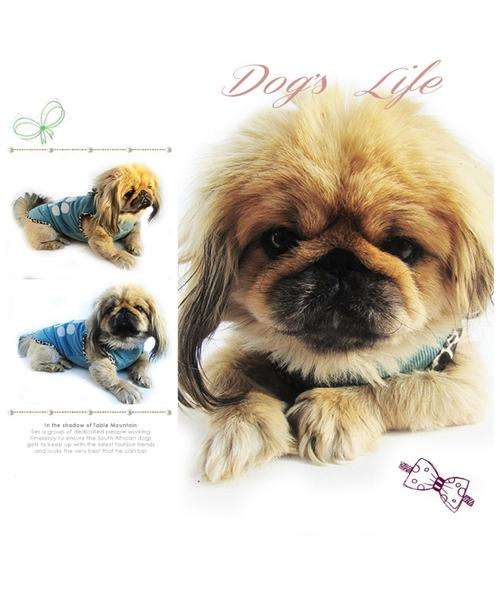 Dog's Life Clothing: Talk to da Paw Size M