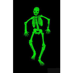 Glow-in-the-Dark Human Skeleton (47 pieces)