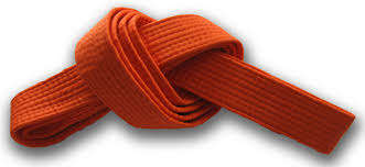 Martial Art Belt - Orange (Judo/Karate/Etc)