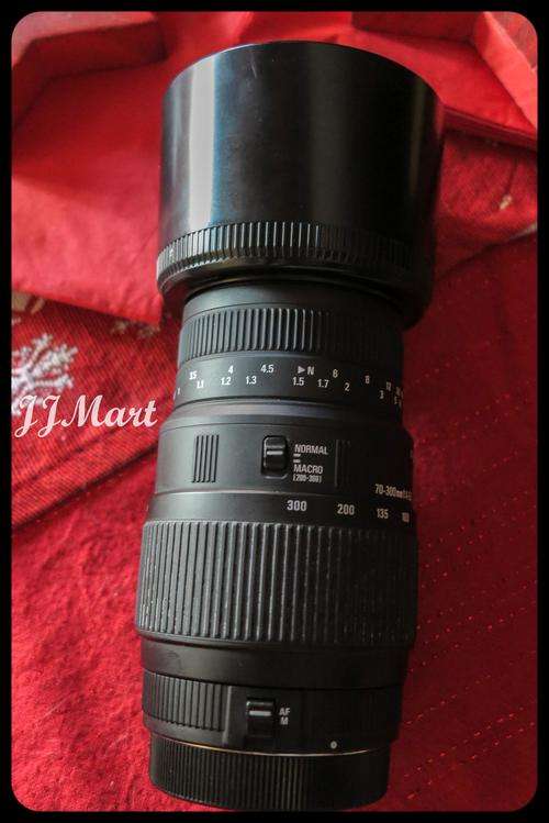 Sigma 70-300mm F4-5.6 APO DG for Canon