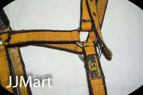 Horse's Bridle
