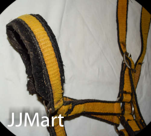 Horse's Bridle