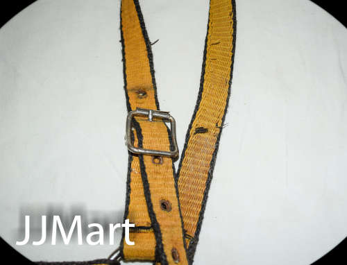 Horse's Bridle