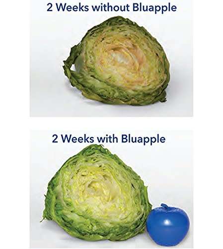 Bluapple Classic One Year Combo Pack