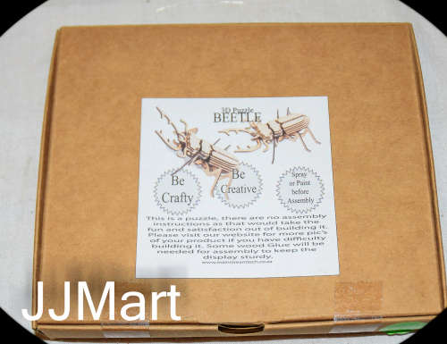 Wooden 3D Beetle Puzzle