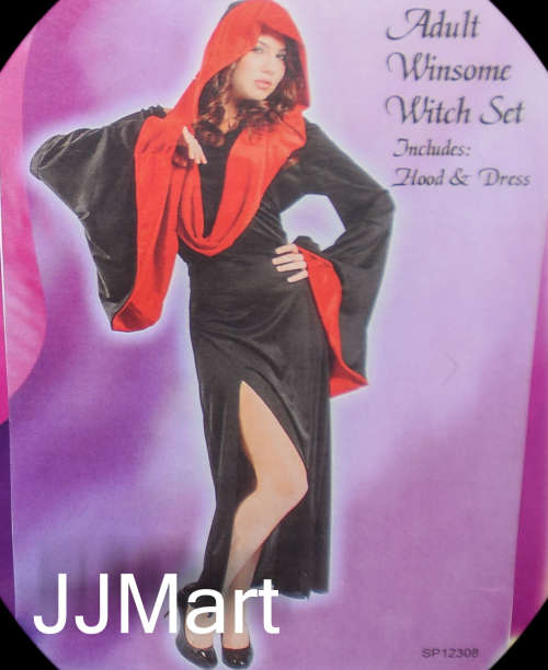 Adult Winsome Witch Set