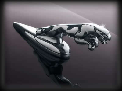 Jaguar front hood emblem