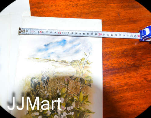 WOW. Harvest 4 Colour Prints - art by Chrystal Wyn