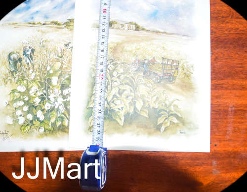 WOW. Harvest 4 Colour Prints - art by Chrystal Wyn