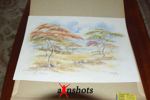 WOW. Scenic Zimbabwe 6 Colour Prints - art by Chrystal Wynn - Signed by artist