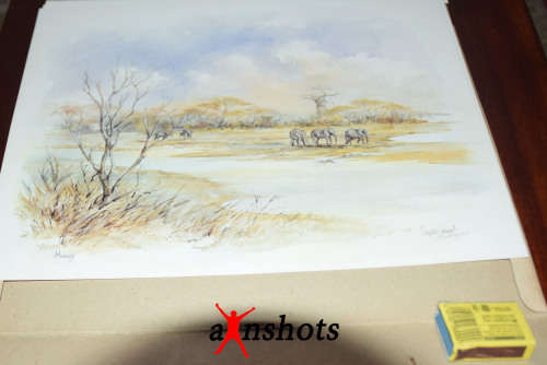 WOW. Scenic Zimbabwe 6 Colour Prints - art by Chrystal Wynn - Signed by artist