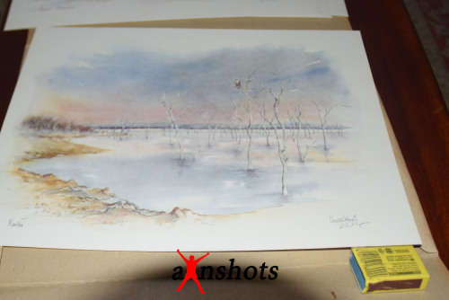WOW. Scenic Zimbabwe 6 Colour Prints - art by Chrystal Wynn - Signed by artist