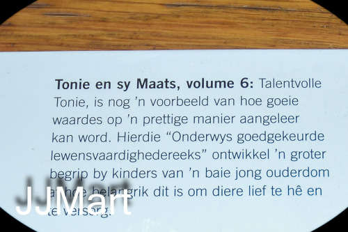 Talentvolle Tonie - Book Hardcover