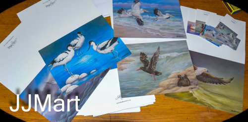 Gift Pack - Birds