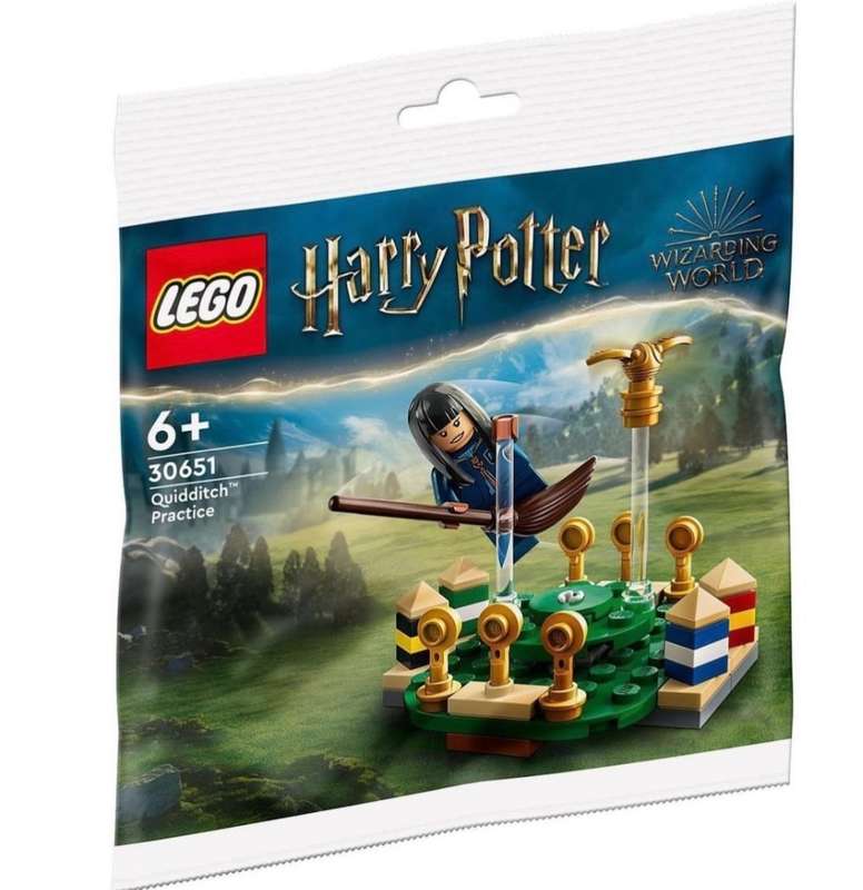 LEGO 30651 Harry Potter Quidditch Practice Wizard Polybag
