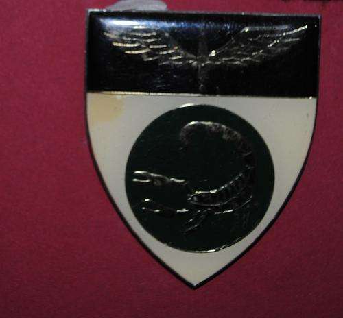 2 Reconnaissance Regiment / 2 Recce Flash 1st Type issued