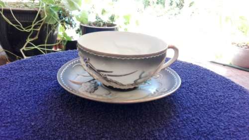 JAPANESE LITHOPHANE CUP AND SAUCER!!!