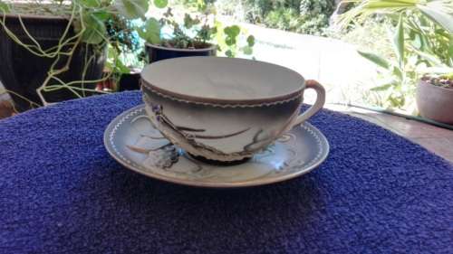 JAPANESE LITHOPHANE CUP AND SAUCER!!!