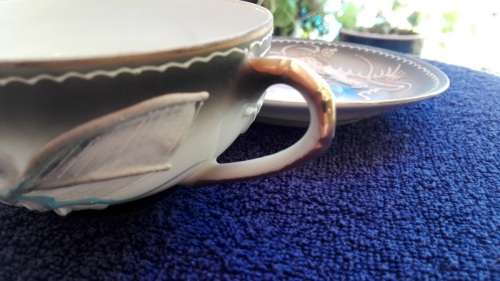 JAPANESE LITHOPHANE CUP AND SAUCER!!!
