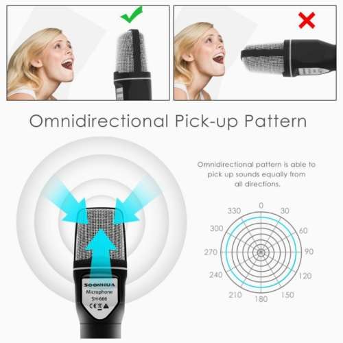 Soonhua Condensor Mic