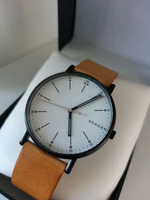 Skagen Signature Watch (Display Model)