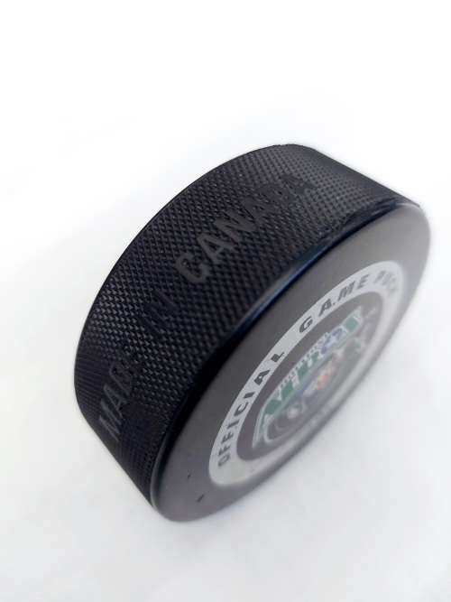 Ice Hockey Puck