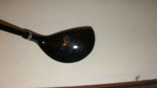 GOLDEN BEAR NR.5 HIBRID