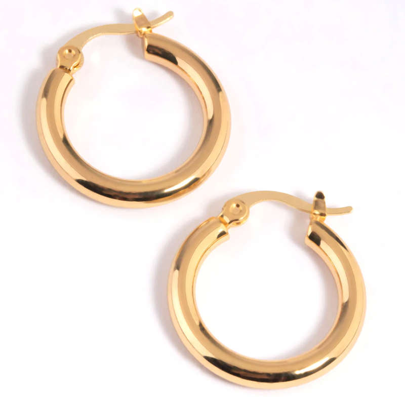 Gold Colour Stainless Steel Round Hoop Earrings in Jewellery Gift Box