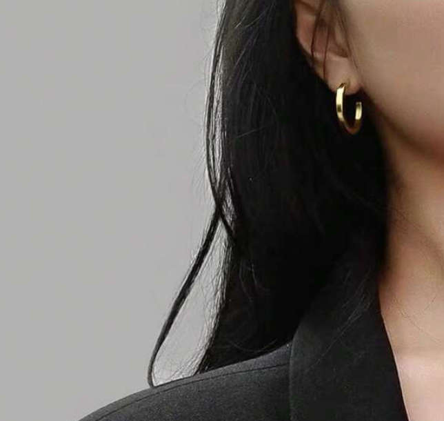 Gold Colour Open Round Geometric Stainless Steel 18k Plated Earrings in Velvet Jewellery Box