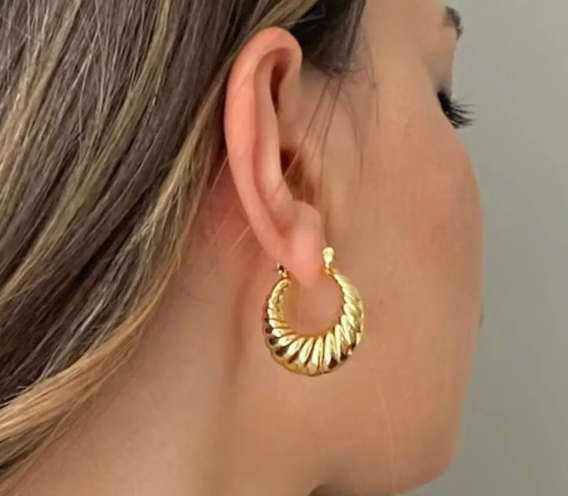 Gold Colour Stainless Steel Croissant Style Earrings in Jewellery Gift Box