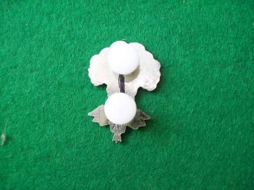 SADF - 1 SAI Beret Badge ( 2 x pins intact )