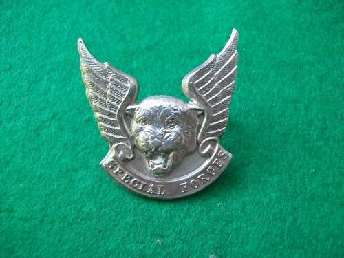 Transkei Special Forces Cap Badge (screws intact)