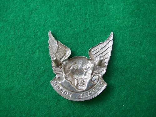 Transkei Special Forces Cap Badge (screws intact)